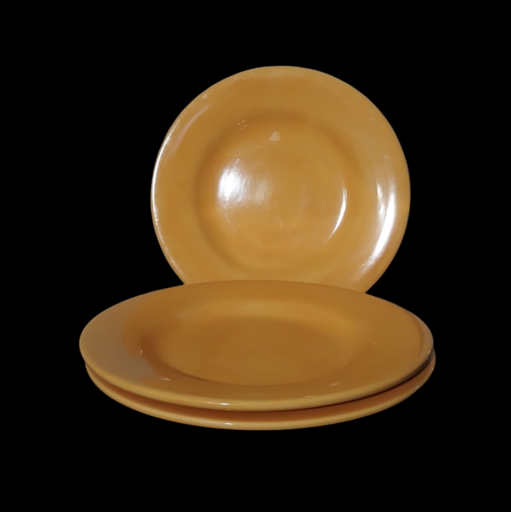 3 Potery Barn Salade Plates.Stoneware Hand Painted Plate, Color Yellow.